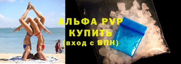 индика Бронницы