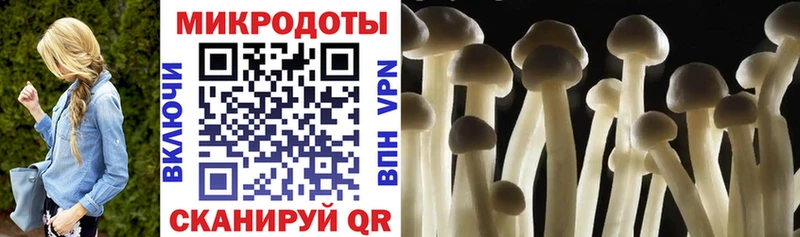 Купить  Олёкминск  Галлюциногенные грибы мухоморы 