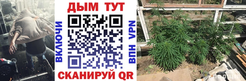 МАРИХУАНА ГИДРОПОН  Купить  Олёкминск 
